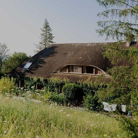 Bed and Breakfast Domaine Foray Villecien Exterior foto